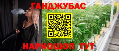 индика Пыть-Ях