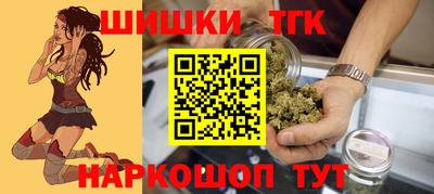 индика Пыть-Ях