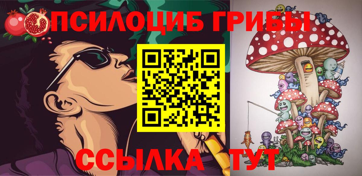 Псилоцибиновые грибы Psilocybe Отрадное