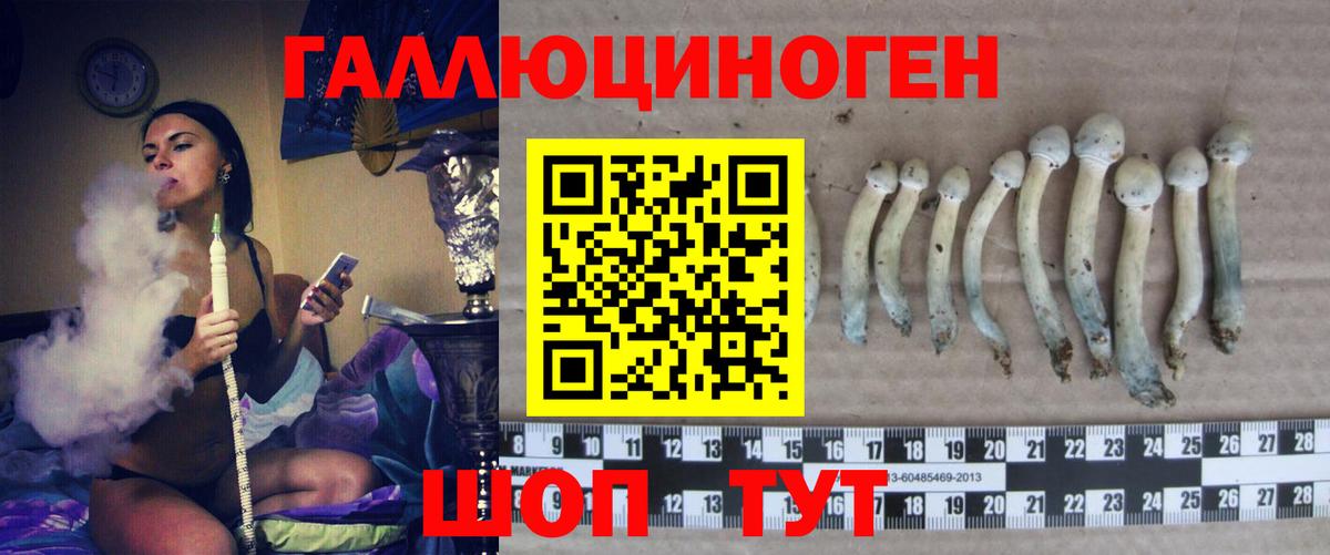 Отрадное  Псилоцибиновые грибы прущие грибы  Вход с VPN 